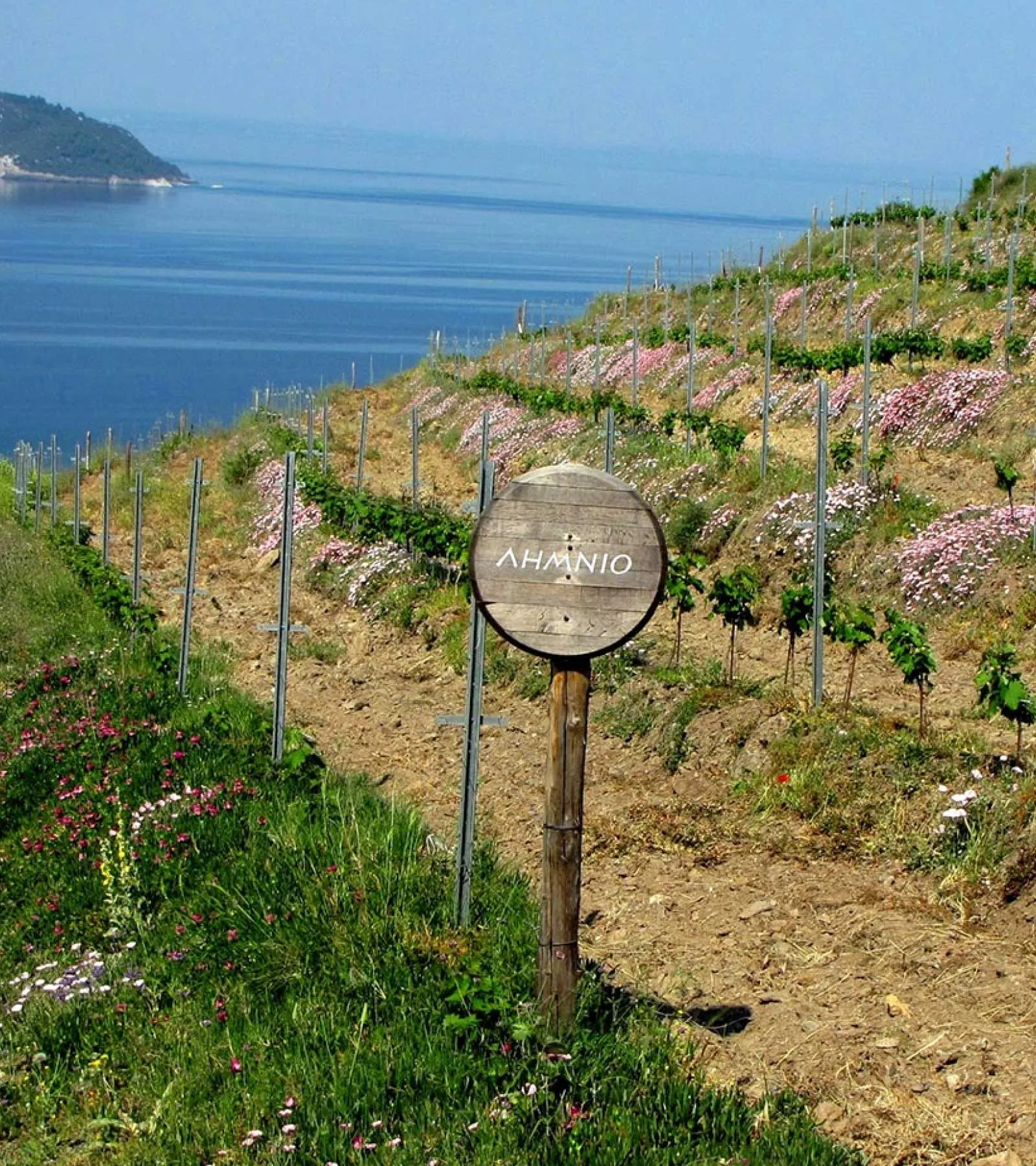 Domaine