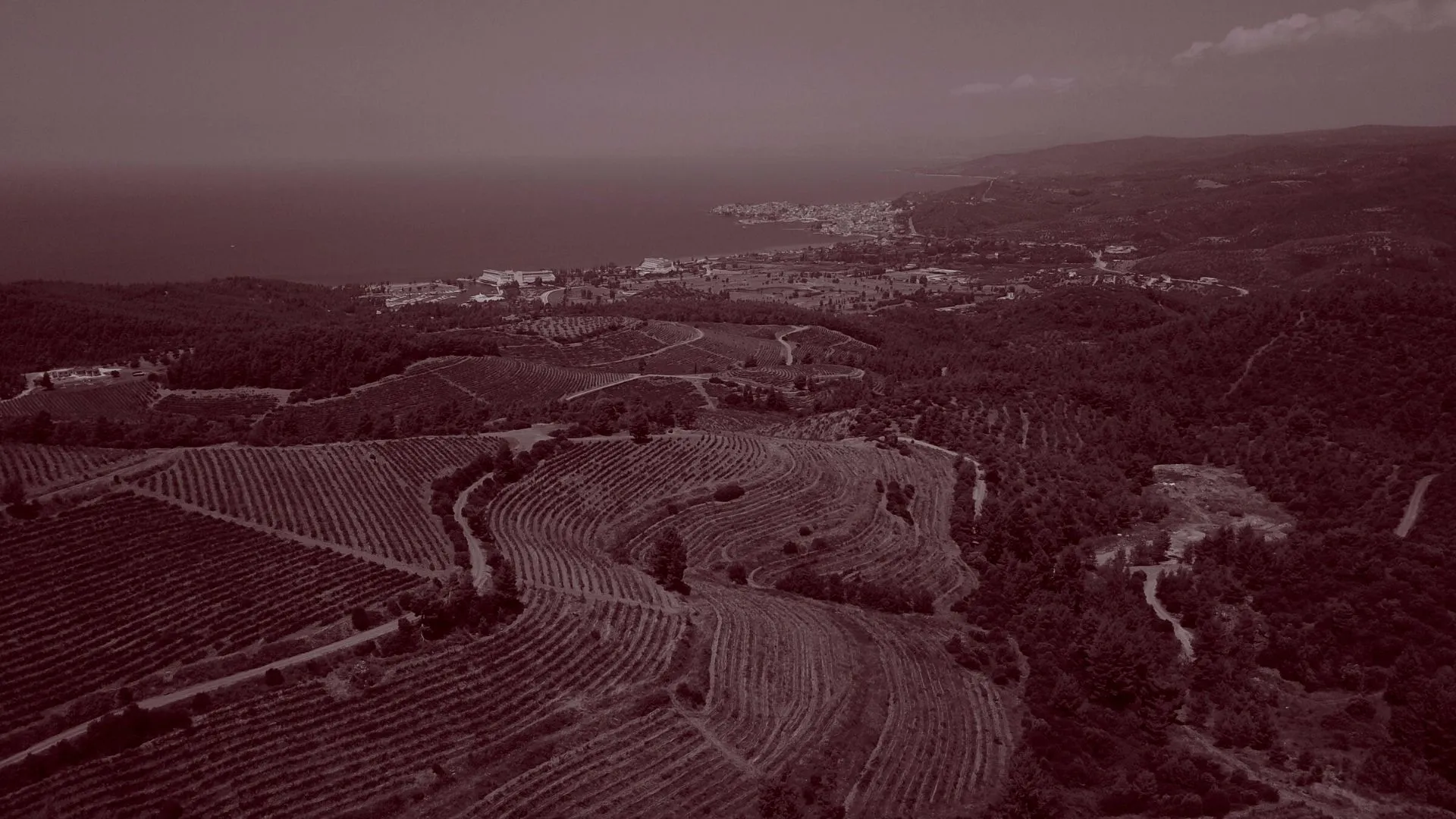 Domaine