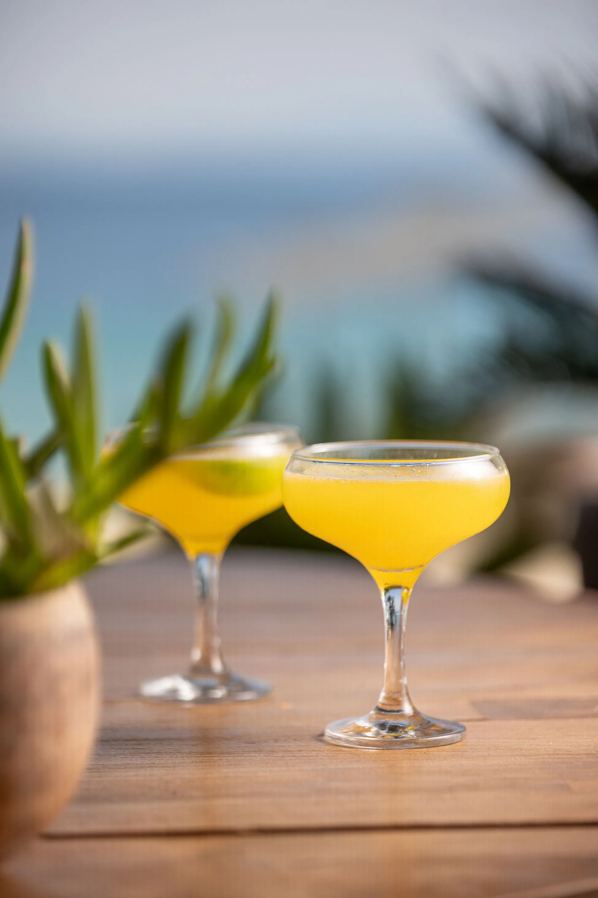 Kohi Beach Bar Drinks